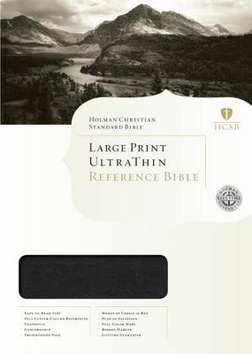 HCSB Large Print Ultrathin Reference Bible, Brown (Leather / fine binding)