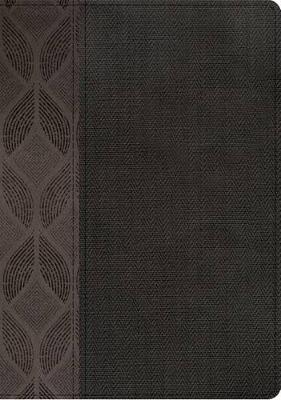RVR 1960 Biblia Compacta Letra Grande, rayos de azul/violeta simil piel con indice (Leather / fine binding)