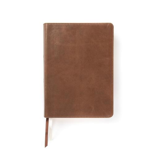 CSB She Reads Truth Bible, Brown Genuine Leather, Indexed (Leather / fine binding)