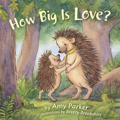 How Big Is Love? (padded board book) (Board book)