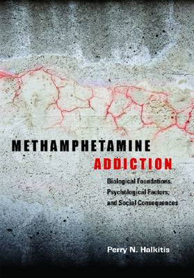 Methamphetamine Addiction: Biological Foundations, Psychological Factors, and Social Consequences (Hardback)