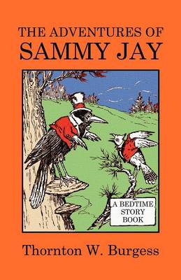 The Adventures of Sammy Jay (Paperback)