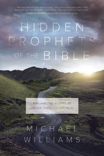 Hidden Prophets of the Bible: Finding the Gospel in Hosea Through Malachi (Paperback)