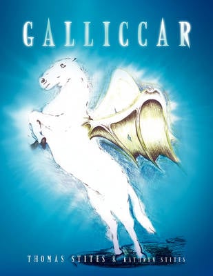 Galliccar (Paperback)