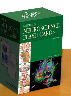 Netter's Neuroscience Flash Cards - Netter Basic Science