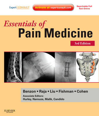 Essentials of Pain Medicine (Paperback)