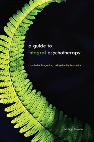 A Guide to Integral Psychotherapy: Complexity, Integration, and Spirituality in Practice - SUNY series in Integral Theory (Paperback)