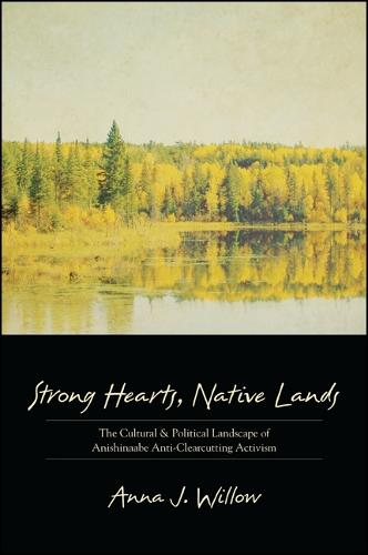 Strong Hearts, Native Lands: The Cultural and Political Landscape of Anishinaabe Anti-Clearcutting Activism - SUNY series, Tribal Worlds: Critical Studies in American Indian Nation Building (Hardback)