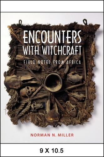 Encounters with Witchcraft: Field Notes from Africa (Paperback)