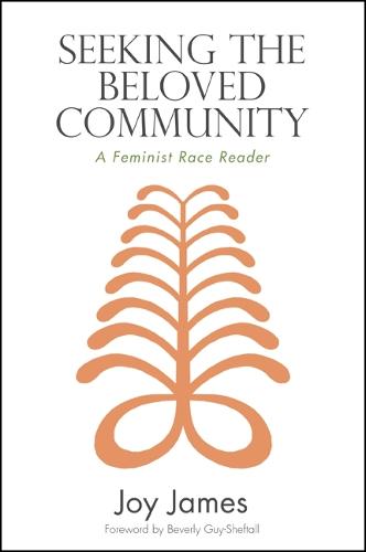 Seeking the Beloved Community: A Feminist Race Reader - SUNY series, Philosophy and Race (Paperback)