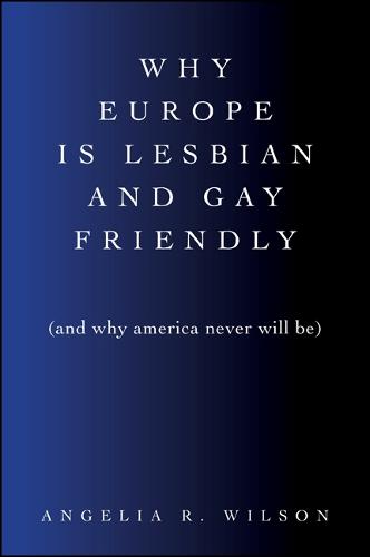 Why Europe Is Lesbian and Gay Friendly (and Why America Never Will Be) - SUNY series in Queer Politics and Cultures (Paperback)