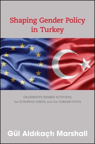 Shaping Gender Policy in Turkey: Grassroots Women Activists, the European Union, and the Turkish State (Paperback)