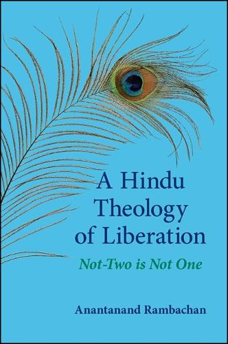 A Hindu Theology of Liberation: Not-Two Is Not One - SUNY Series in Religious Studies (Hardback)