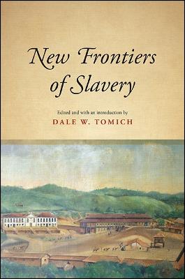 New Frontiers of Slavery - SUNY Series, Fernand Braudel Center Studies in Historical Social Science (Hardback)