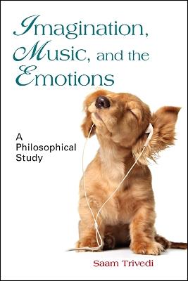 Imagination, Music, and the Emotions: A Philosophical Study (Hardback)