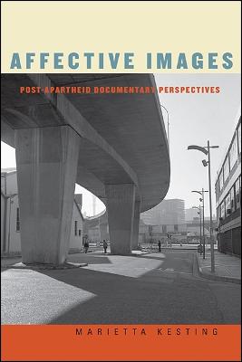 Affective Images: Post-apartheid Documentary Perspectives (Hardback)