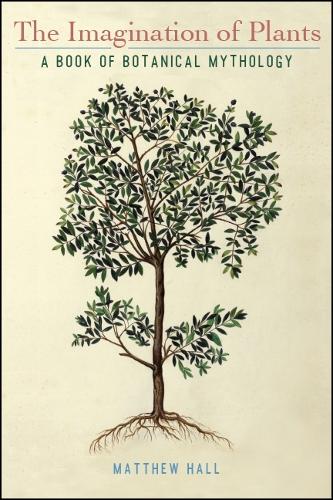 The Imagination of Plants: A Book of Botanical Mythology - SUNY series on Religion and the Environment (Paperback)
