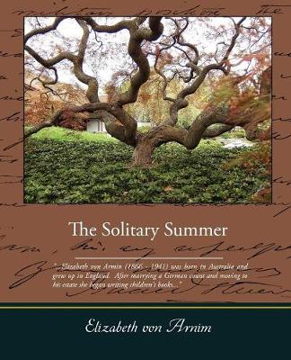 The Solitary Summer (Paperback)