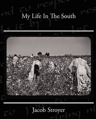 My Life in the South (Paperback)