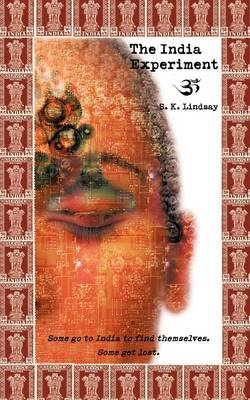 The India Experiment (Paperback)