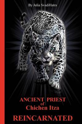 The Priest: Ancient Priest of Chichen Itza Reincarnated (Paperback)
