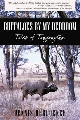 Buffaloes by My Bedroom (Hardback)