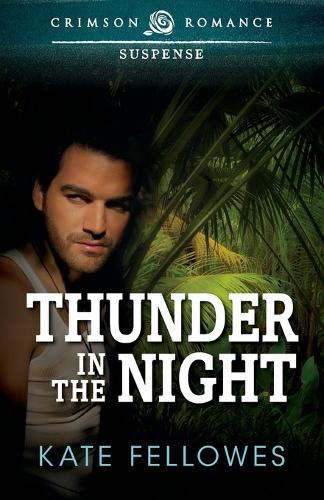 Thunder in the Night (Paperback)
