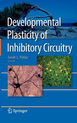 Developmental Plasticity of Inhibitory Circuitry (Hardback)