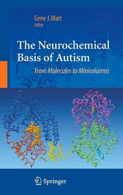 The Neurochemical Basis of Autism: From Molecules to Minicolumns (Hardback)
