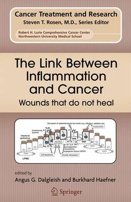 The Link Between Inflammation and Cancer: Wounds that do not heal - Cancer Treatment and Research 130 (Paperback)