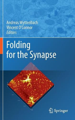 Folding for the Synapse (Hardback)