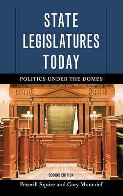 State Legislatures Today: Politics under the Domes (Hardback)