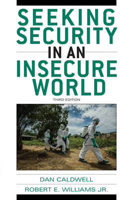 Seeking Security in an Insecure World (Paperback)