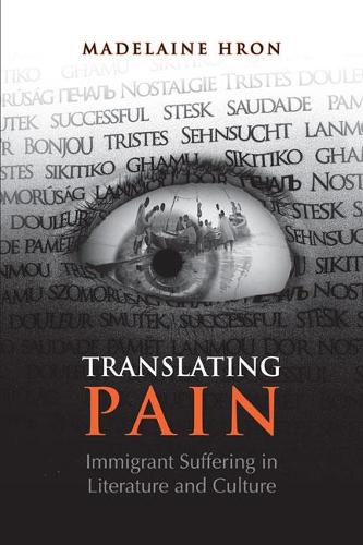 Translating Pain: Immigrant Suffering in Literature and Culture (Paperback)