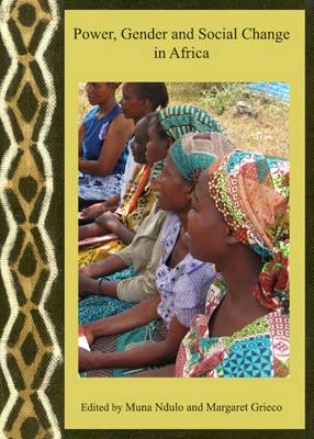 Power, Gender and Social Change in Africa (Hardback)