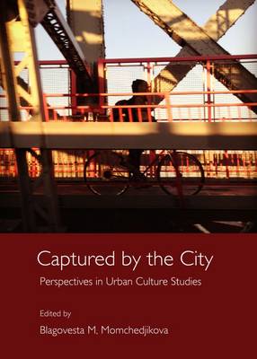 values in urban studies essay values in urban studies essay