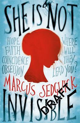 She Is Not Invisible (Hardback)