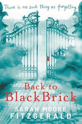 Back to Blackbrick (Hardback)