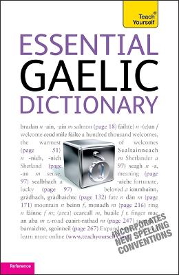 Essential Gaelic Dictionary: Teach Yourself - Boyd Robertson