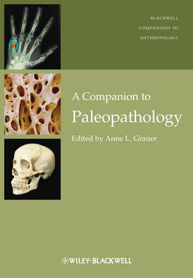 A Companion to Paleopathology - Wiley Blackwell Companions to Anthropology (Hardback)