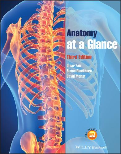 Anatomy at a Glance - At a Glance (Paperback)