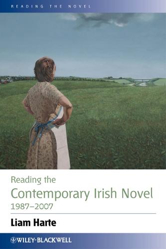 Reading the Contemporary Irish Novel 1987 - 2007 - Reading the Novel (Hardback)