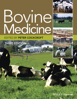 Bovine Medicine (Hardback)