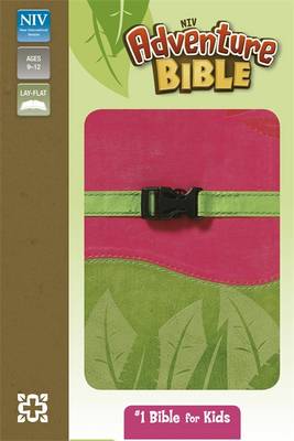 NIV Adventure Pink and Green Soft-Tone Bible (Paperback)
