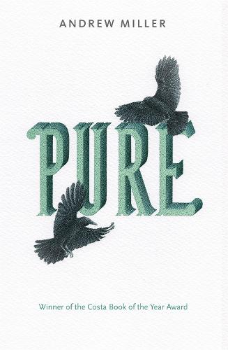 Pure (Paperback)