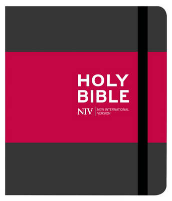 NIV Journalling Charcoal Cloth Bible: New International Version (Hardback)