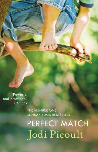 Book cover of Perfect Match