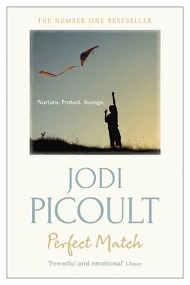 Perfect Match (Paperback)