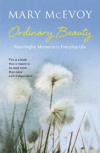 Ordinary Beauty: Meaningful Moments in Everyday Life (Paperback)