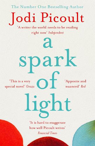 A Spark of Light (Paperback)